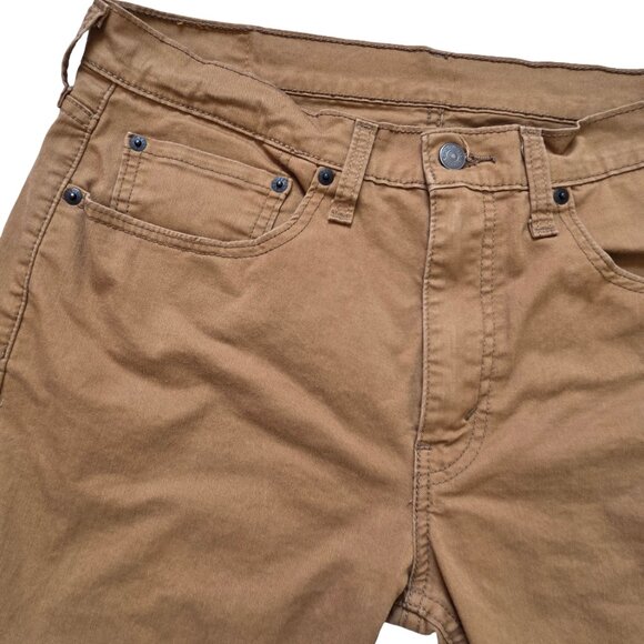 Levi - Picture 4 of 12